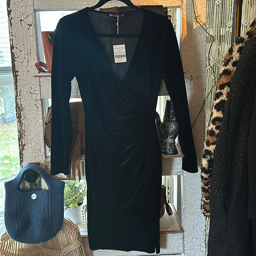 Black (perfect for holiday parties) velvet long sleeve mini dress.